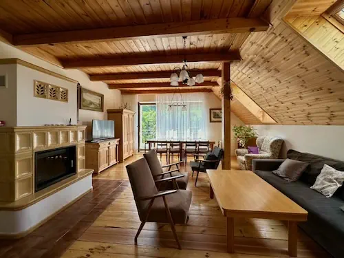 Living room with fireplace - large apartment